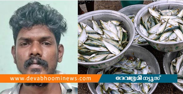 മീനേ...; കൂവല്‍ ഇഷ്ടപ്പെട്ടില്ല, മീന്‍വില്‍പ്പനക്കാരനെ പട്ടികകൊണ്ട് അടിച്ച യുവാവ്‌ അറസ്റ്റില്‍