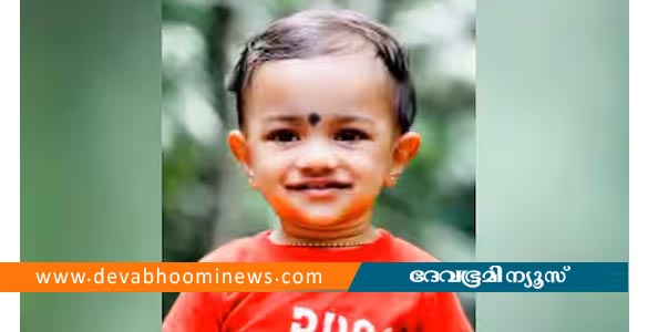 പാലക്കാട് അമ്മ മകനെയുമെടുത്ത് കിണറ്റിൽ ചാടി; രണ്ടര വയസുകാരൻ ചികിത്സയിലിരിക്കെ മരിച്ചു