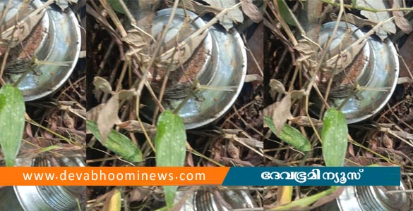 കണ്ണൂർ പാനൂരിൽ സ്റ്റീൽ ബോംബ് കണ്ടെത്തി