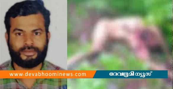 കാളികാവിലെ നരഭോജി കടുവയെ പിടികൂടാന്‍ വനം വകുപ്പ്; കൂടുകളും ക്യാമറകളും സ്ഥാപിച്ചു