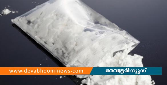 പാലക്കാട് എംഡിഎംഎ വിൽപ്പനക്കാരനും സഹായിയും പൊലീസ് പിടിയിൽ