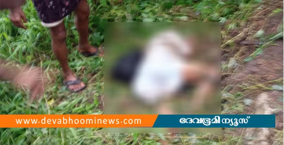 കാട്ടാന ആക്രമണം: പാലക്കാട് ടാപ്പിങ് തൊഴിലാളി കൊല്ലപ്പെട്ടു