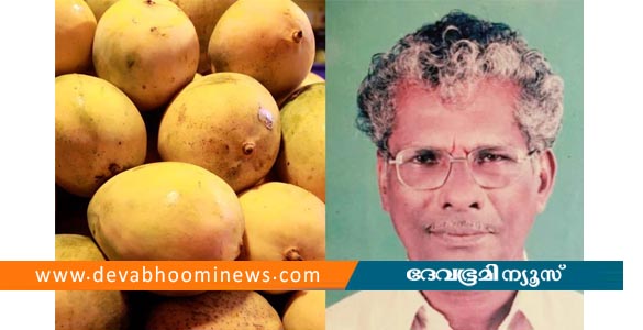 പഴുത്ത മാങ്ങയുടെ തൊലി തൊണ്ടയിൽ കുടുങ്ങി വയോധികന് ദാരുണാന്ത്യം