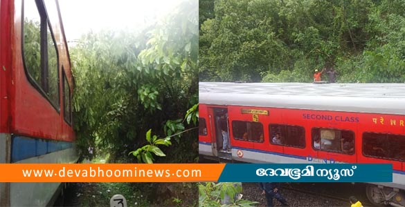 ചെറുതുരുത്തിയിൽ ഓടിക്കൊണ്ടിരുന്ന ട്രെയിനിന് മുകളിലേക്ക് മരക്കൊമ്പുകൾ വീണു
