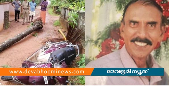 വടകരയിൽ തെങ്ങ് കടപുഴകി വീണ് അപകടം; സ്കൂട്ടർ യാത്രക്കാരന് ദാരുണാന്ത്യം