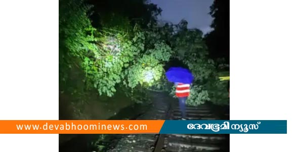 അതിതീവ്ര മഴ: തൃശൂരില്‍ റെയില്‍വെ ട്രാക്കില്‍ മരം വീണ് ട്രെയിന്‍ ഗതാഗതം തടസ്സപ്പെട്ടു