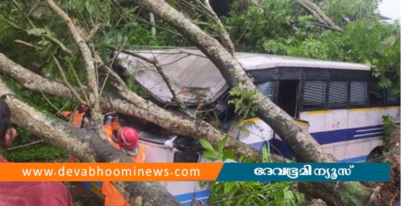 ഓടിക്കൊണ്ടിരുന്ന കെഎസ്ആര്‍ടിസി ബസിലേക്ക് കൂറ്റന്‍ മരം വീണു; നിരവധി പേര്‍ക്ക് പരിക്ക്