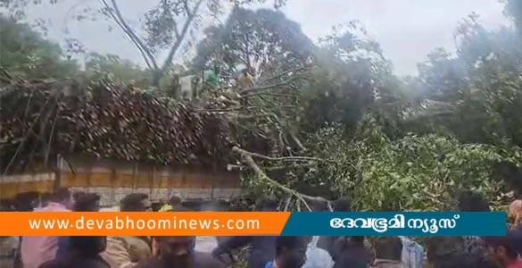 കുമളിയിൽ നിർത്തിയിട്ട ലോറിക്കു മുകളിൽ മരംവീണ് അപകടം; ഒരാൾ മരിച്ചു, ഒരാൾക്ക് പരിക്ക്