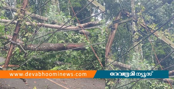 കാറ്റും മഴയും: കോട്ടയം ജില്ലയിൽ കെ.എസ്.ഇ.ബിക്ക് 7.9 കോടി രൂപയുടെ നഷ്ടം