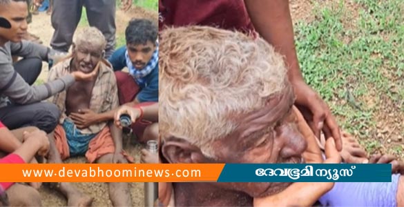 പാലക്കാട് കാട്ടാന ആക്രമണത്തിൽ പരിക്കേറ്റ വയോധികൻ മരിച്ചു