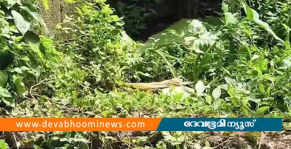 മെഴുവേലിയിലെ നവജാത ശിശുവിന്റെ മരണം; 21കാരിയായ അമ്മ അറസ്റ്റിൽ