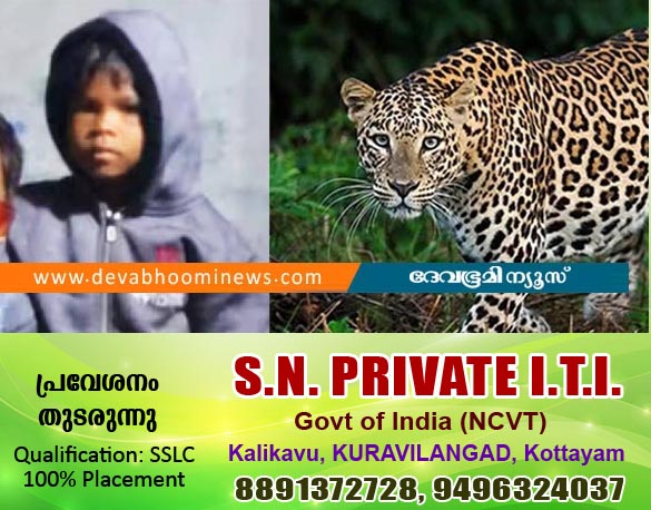 വാല്‍പ്പാറയില്‍ പുലി കടിച്ചു കൊണ്ടുപോയ കുട്ടിയ്ക്കായുളള തിരച്ചില്‍ തുടരുന്നു