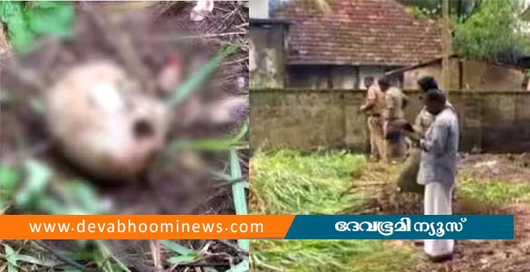 കൊച്ചിയിൽ ആളൊഴിഞ്ഞ പറമ്പിൽ മനുഷ്യന്‍റെ തലയോട്ടി കണ്ടെത്തി