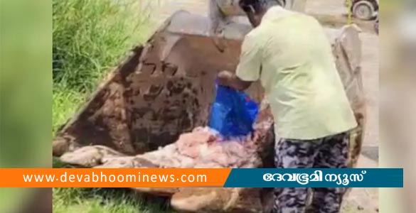 കൊല്ലത്ത് 300 കിലോ പഴകിയ കോഴിയിറച്ചി പിടികൂടി