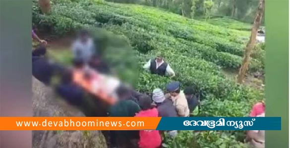 മൂന്നാറിൽ ജീപ്പ് 50 അടി താഴ്ചയിലേക്ക് മറിഞ്ഞ് അപകടം; വിനോദസഞ്ചാരി മരിച്ചു