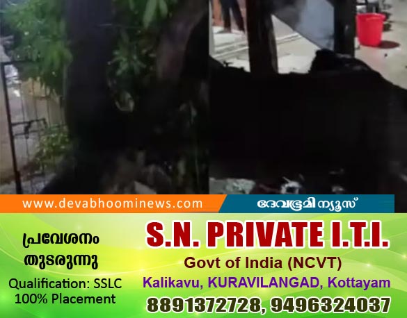 പാലക്കാട് ശക്തമായ കാറ്റിൽ വീടുകൾക്ക് മുകളിലൂടെ മരം കടപുഴകി വീണു; ആളപായമില്ല