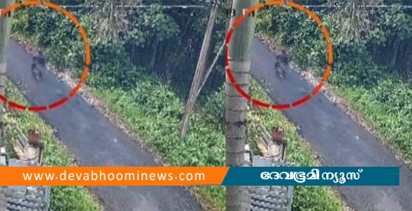 പാലക്കാട് പതിനാലുകാരനെ തട്ടിക്കൊണ്ടു പോകാൻ ശ്രമമെന്ന് പരാതി