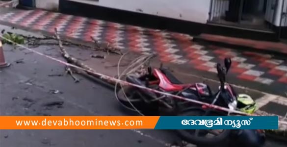 തിരുവനന്തപുരത്ത് പൊട്ടിവീണ വൈദ്യുതി ലൈനില്‍ നിന്ന് ഷോക്കേറ്റ് 19 കാരൻ മരിച്ചു