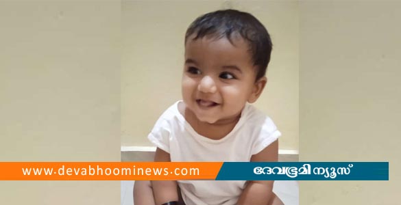 റംബുട്ടാൻ തൊണ്ടയിൽ കുരുങ്ങി; പെരുമ്പാവൂരിൽ ഒരു വയസുകാരന് ദാരുണാന്ത്യം