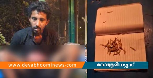 പൂച്ചയെ കഴുത്തറുത്ത് കൊല്ലുന്നത് ഇൻസ്റ്റാഗ്രാം സ്റ്റോറിയാക്കി യുവാവ്