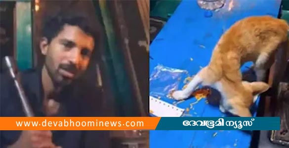 പൂച്ചയെ കൊന്ന് കഷണങ്ങളാക്കി ദൃശ്യങ്ങള്‍ പോസ്റ്റ് ചെയ്തു; യുവാവിനെതിരെ കേസെടുത്ത് പൊലീസ്