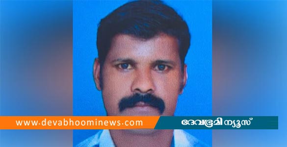 വീട്ടുകാരെ വാതിലടച്ച് സുരക്ഷിതരാക്കി; കൂട് നശിപ്പിക്കുന്നതിനിടെ കടന്നൽ കുത്തി; യുവാവ് മരിച്ചു