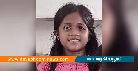 താമരശ്ശേരിയിലെ നാലാം ക്ലാസുകാരിയുടെ മരണം അമീബിക് മസ്തിഷ്ക ജ്വരം ബാധിച്ച്; സ്ഥിരീകരണം