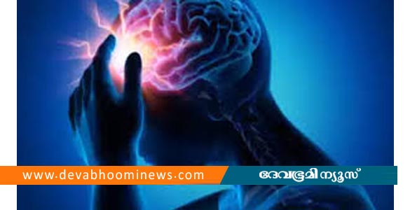 അമീബിക് മസ്തിഷ്കജ്വരം; കഴിഞ്ഞ ദിവസം മരിച്ച 9കാരിയുടെ സഹോദരനും രോഗം സ്ഥിരീകരിച്ചു