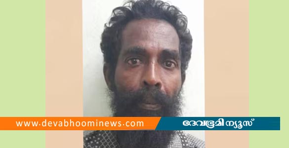 തേങ്ങ പെറുക്കിയെടുക്കുന്നത് വിലക്കിയ യുവാവിന്റെ തല തല്ലിപ്പൊട്ടിച്ചു; പ്രതി പിടിയില്‍