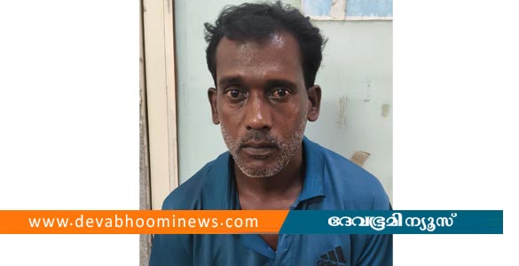 മുട്ടമ്പലത്ത് സ്കൈലൈൻ പാം മെഡോവ്സ് വില്ലയിലും മാങ്ങാനത്ത് വെൽനസ്  ക്ലിനിക്കിലും മോഷണം നടത്തിയ പ്രതി പിടിയില്‍