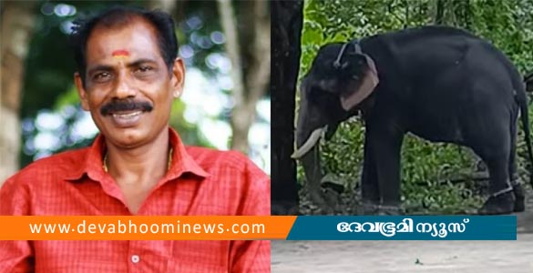 ആലപ്പുഴയില്‍ ആനയുടെ കുത്തേറ്റ പാപ്പാന്‍ മരിച്ചു; രണ്ടാം പാപ്പാന്‍ ഗുരുതരാവസ്ഥയില്‍