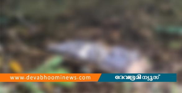 അങ്കമാലിയിലെ പാറമടയില്‍ അജ്ഞാത മൃതദേഹം; അരയ്ക്ക് മുകളിലേക്കില്ല