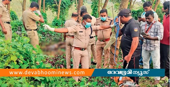 കൈയിലും കാലിലും ചങ്ങലപ്പൂട്ട്; പുനലൂരിൽ റബ്ബർ തോട്ടത്തിൽ ജീർണിച്ച മൃതദേഹം