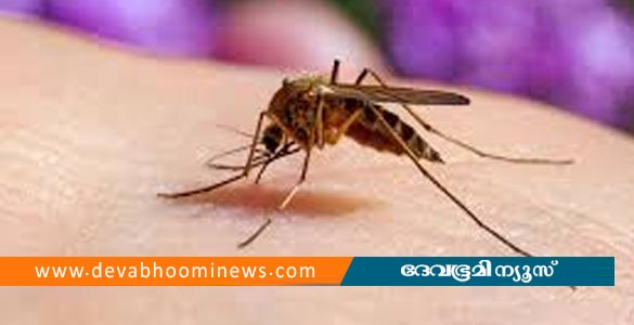 വണ്ടൂരില്‍ ഒരു കുടുംബത്തിലെ മൂന്ന് പേര്‍ക്ക് മലമ്പനി സ്ഥിരീകരിച്ചു