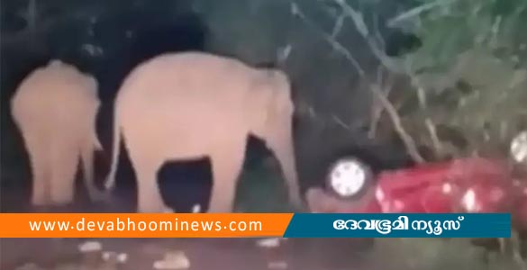 അതിരപ്പിള്ളിയിൽ റോഡരികില്‍ നിര്‍ത്തിയിട്ട കാര്‍ തകര്‍ത്ത് കാട്ടാനക്കൂട്ടം