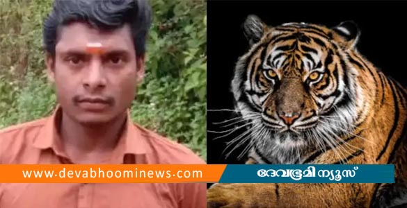 പത്തനംതിട്ടയിൽ കടുവയുടെ ആക്രമണത്തിൽ ഫോറസ്റ്റ് വാച്ചർക്ക് ദാരുണാന്ത്യം