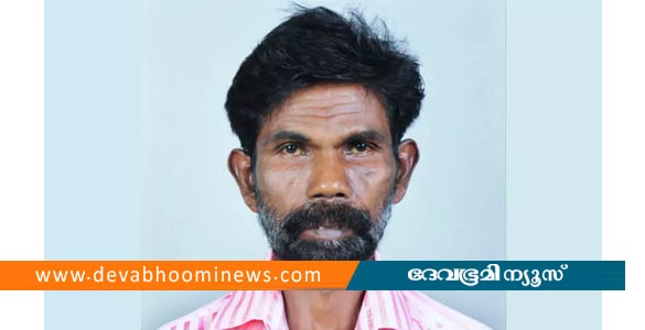 കടന്നല്‍ ആക്രമണത്തില്‍ ക്ഷീരകര്‍ഷകന് ദാരുണാന്ത്യം; മകനും അയല്‍വാസിക്കും പരിക്ക്