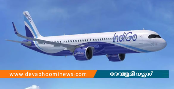 ഡൽഹിയിൽ ഇൻഡി​ഗോ വിമാനത്തിൽ യാത്രക്കാരന്റെ പവർ ബാങ്കിന് തീപിടിച്ചു