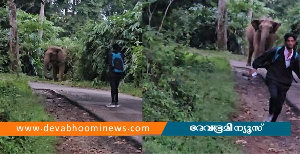 അതിരപ്പിള്ളിയിൽ തമിഴ്‌നാട് സ്വദേശികളായ ബൈക്ക് യാത്രികർക്കു നേരെ പാഞ്ഞടുത്ത് കാട്ടാന