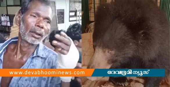 നിലമ്പൂരില്‍ പച്ചമരുന്ന് ശേഖരിക്കാൻ കാട്ടിൽ പോയ വയോധികന് നേരെ കരടി ആക്രമണം