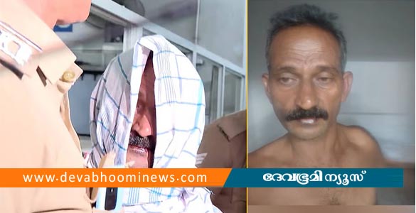 ഓടിക്കൊണ്ടിരുന്ന ട്രെയിനിൽ നിന്നും യുവതിയെ തള്ളിയിട്ടു; പ്രതി കസ്റ്റഡിയില്‍