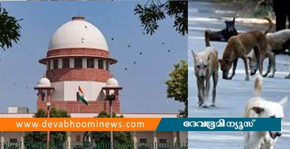 'തെരുവുനായ്ക്കളെ പൊതു ഇടങ്ങളിൽ നിന്ന് നീക്കണം'- സുപ്രീംകോടതി