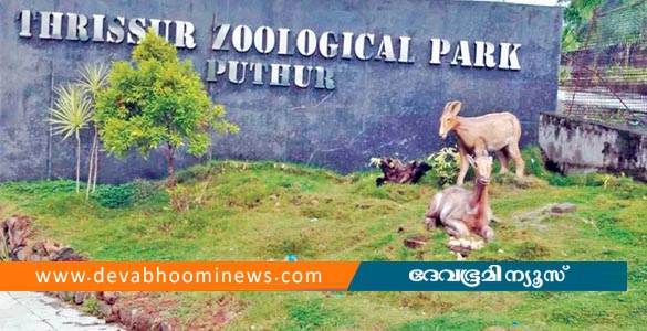 പുത്തൂര്‍ സുവോളജിക്കല്‍ പാര്‍ക്കില്‍ പത്തിലധികം മാനുകള്‍ ചത്ത നിലയില്‍