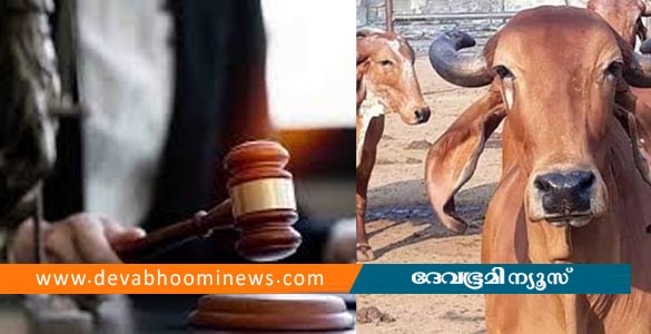 ഗുജറാത്തില്‍ പശുവിനെ കൊന്നതിന് മൂന്നുപേര്‍ക്ക് ജീവപര്യന്തം