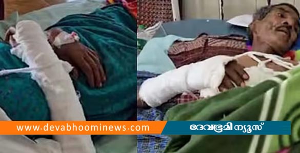 പറമ്പില്‍ കോഴി കയറിയതിന് വൃദ്ധ ദമ്പതികളുടെ കൈകള്‍ തല്ലിയൊടിച്ചു; അയല്‍വാസി പിടിയില്‍