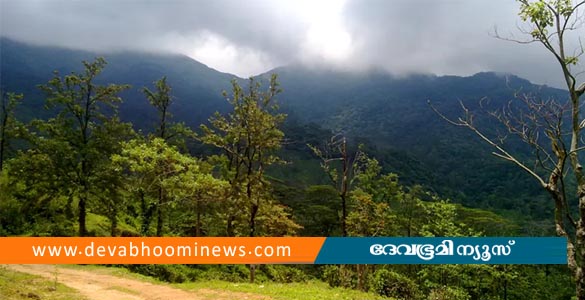 കടുവകളുടെ എണ്ണം എടുക്കാന്‍ പോയി ഉള്‍വനത്തില്‍ കുടങ്ങിയ വനം വകുപ്പ് ഉദ്യോഗസ്ഥരെ കണ്ടെത്തി