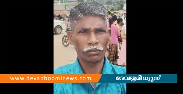 അട്ടപ്പാടിയിൽ കടുവ സെൻസസിന് പോയ ഉദ്യോഗസ്ഥൻ കാട്ടാന ആക്രമണത്തിൽ കൊല്ലപ്പെട്ടു