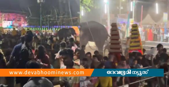 കൂറ്റഞ്ചേരി ശിവക്ഷേത്രത്തില്&zwj; ആന ഇടഞ്ഞു; 7 പേർക്ക് വീണ് പരിക്ക്