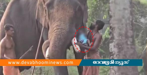 പേടി മാറ്റാനായി ആനയ്ക്കടിയിലൂടെ പിഞ്ചുകുഞ്ഞിനെ കടത്തി പാപ്പാന്&zwj;റെ സാഹസം