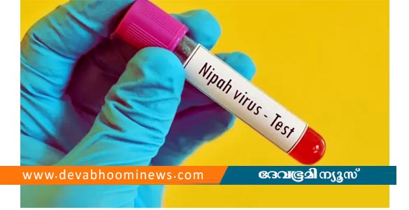 പശ്ചിമബംഗാളില്&zwj; നിപ; രണ്ട് നഴ്&zwnj;സുമാര്&zwj;ക്ക് രോഗബാധ സ്ഥിരീകരിച്ചു, നില ഗുരുതരം